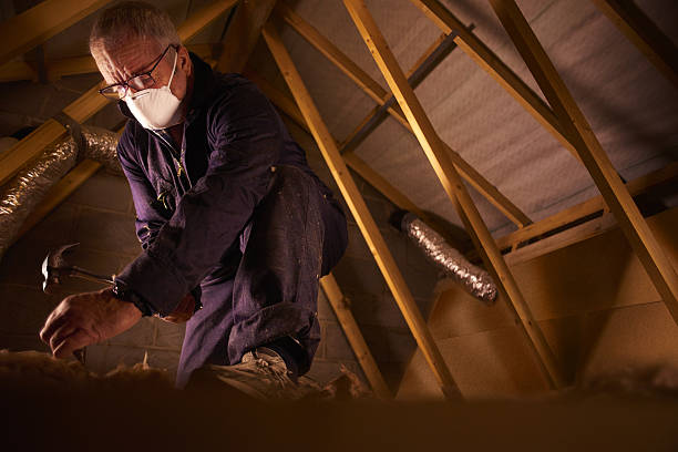 Best DIY Insulation Kits and Guidance in Newburgh Heights, OH